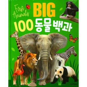 BIG 100 동물백과, 예림당, 소울하우스