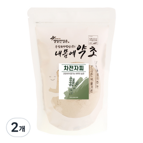 내몸에약초 차전자피 분말, 2개, 400g