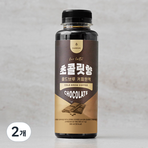 핸디엄 초콜릿향 콜드브루 커피원액, 300ml, 2개