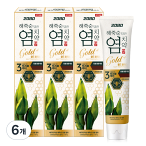 2080 해죽순 담은 염 치약 골드 플러스, 120g, 6개