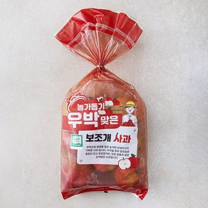 GAP 인증 농가돕기 우박맞은 보조개 사과, 2kg(소과, 15입내), 1봉