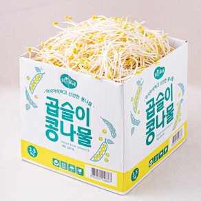 맑은물에 곱슬이 콩나물, 3.5kg, 1개