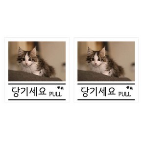 쁘띠팬시 펫 사인 F35113, 2개, 당기세요 고양이