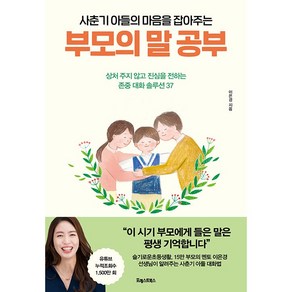 사춘기 아들의 마음을 잡아주는 : 부모의 말 공부, 포레스트북스