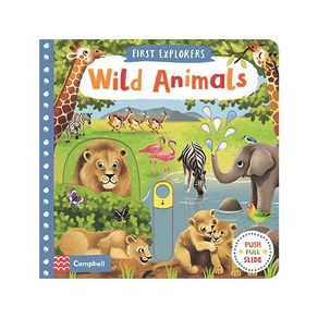 Wild Animals : Fist Exploes, Macmillan Childen's Books