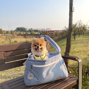 개과천선 반려동물 카소 쿠션포함 이동 슬링백, 블루 스카이, 1개