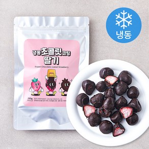 초콜릿 코팅 딸기 (냉동), 250g, 1개