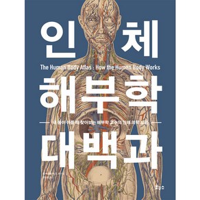 인체 해부학 대백과, 보누스, 켄 에슈웰