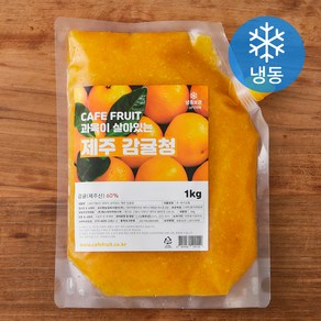 CAFEFRUIT 과육이 살아있는 제주 감귤청 (냉동)