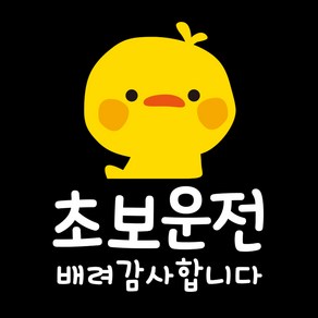 제제데코 투번 칼라 자동차 차량 스티커 TC001 초보운전배려 뺙뺙이