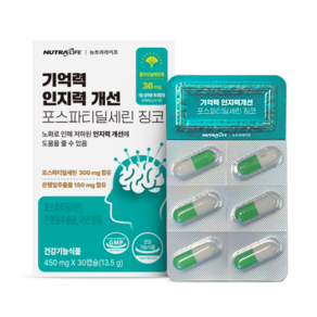 기억력 인지력개선 포스파티딜세린 징코 45g, 30정, 1개