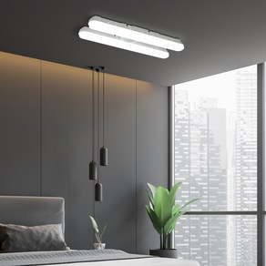 은가비 스키등 60W LED30W+30W 일자등 십자등대체품 주방 방등 거실등 칩 국내산 플리커프리 천장등, 주광색