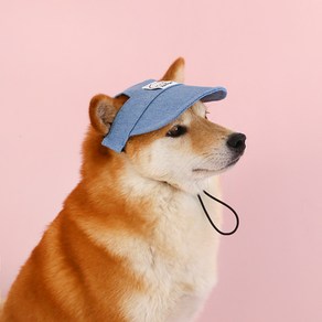 랜보어 반려동물 데님 썬캡, 블루, 1개