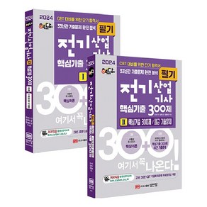 2024 핵담 전기산업기사 필기 핵심기출 300제 전2권, 성안당