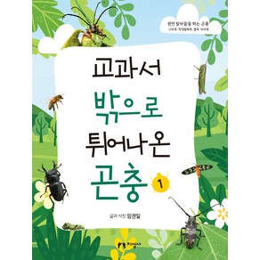 교과서 밖으로 튀어나온 곤충 완전 탈바꿈을 하는 곤충