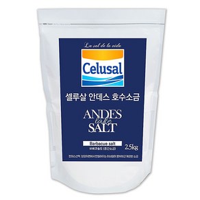 셀루살 안데스 호수 중간 소금