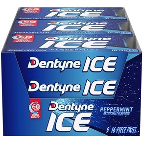 덴타인아이스껌 dentyne 미제껌 미국껌 무설탕 대용량 16개입 9개