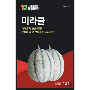 더드림 미라클 멜론씨앗 멜론종자 / 미네랄의 보물창고 캔탈로프 멜론씨, 1개