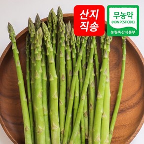 (자연마을) 국산 무농약 아스파라거스, 1개, 500g