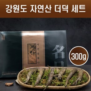 강원도 야생더덕 자연산 더덕 국내산 산지직송 산더덕 9-12뿌리 껍질 생더덕 구이 무침 요리 더덕차 더덕주 흙더덕 사삼 설 추석 명절 선물세트, 300g X 1세트, 1개