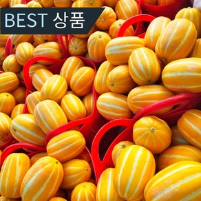 [당일수확 당일발송] 성주참외 못난이 소과 꿀참외 고당도 제철과일, 1박스, 알뜰 못난이 혼합과 1kg