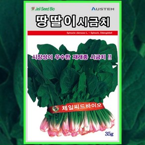 땅딸이 시금치씨앗 시금치씨 종자 월동시금치 가을겨울용, 1개