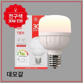 비츠온 T벌브 LED W 50W 전구 E39 KS, 1개, 전구색