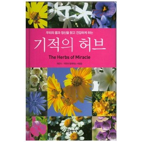 기적의 허브:우리의 몸과 정신을 맑고 건강하게 하는, 문학사계, 자연과 함께하는 사람들 저