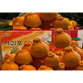 [황금농원] 고당도 서귀포 하우스한라봉 3kg 5kg, 벌크3kg중소과(16-18과)