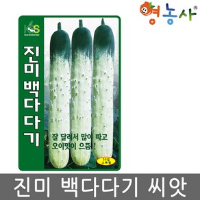 진미 백다다기 오이 씨앗 50립 오이씨 종자 키우기, 1개