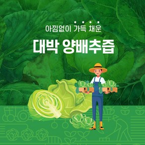 HACCP 대박 양배추즙 50포 100ml 7월2일부터 출고예정, 5L, 1개