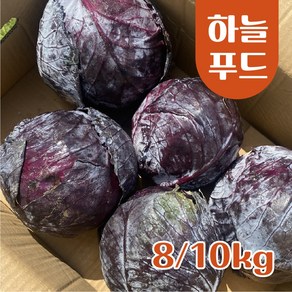 (10kg/Box) 수입 적채 적양배추 식자재 빨간양배추, 1개, 10kg