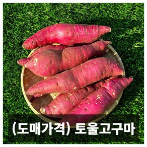 프리미엄 전남 영암 토울 고구마 5kg 10kg, 1개, 5kg 한입