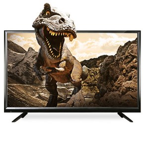 VRID 165cm 65인치 4K UHD PREMIUM TV, 브리드65인치TV