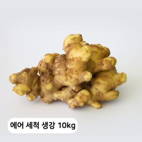 [안동농협] 24년 국내산 에어 세척 흙생강 (사은품 증정), 1개, 10kg