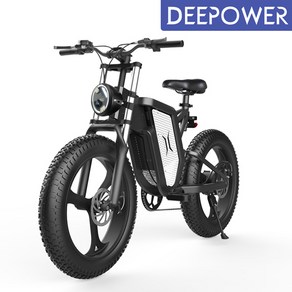 DEEPOWER 최신형 2000W 48V 25Ah 전기자전거 MTB 산악 자전거 20인치 팻바이크 7단 변속