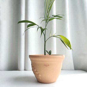 ENVIE CASA 올리브 토분, 23 cm, 1개