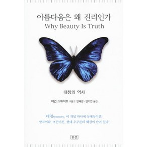 아름다움은 왜 진리인가:대칭의 역사