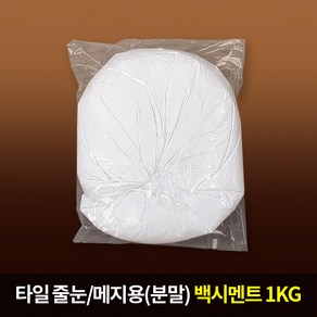 타일줄눈 백시멘트1kg(소포장), 1개