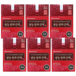 광동 쌍화진액, 500g, 6개