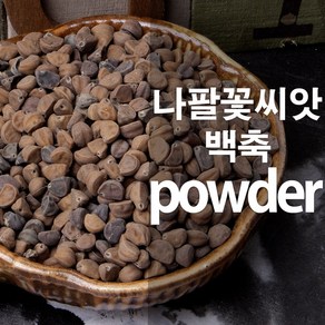 견우자분말 백축가루 나팔꽃씨앗, 100g, 1개, 1개입