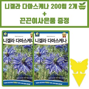 다농 니겔라다마스케나 씨앗 200립 흑종초 니겔라 꽃씨 종자 2개+끈끈이 1P 증정, 1세트