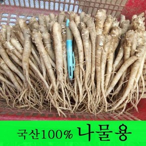 [금산도라지] 직접재배한 생도라지1kg >산지직송>국산도라지 약도라지 엑기스용 나물용 무침 정과용 배즙용 *국산100%*, 1개, 도라지(나물용) 1kg