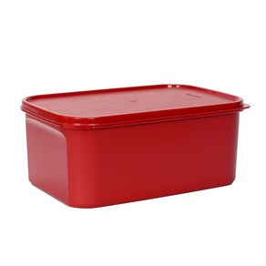 타파웨어 Tupperware 대용량 김치통 직사각 4.3L 6.5L