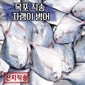 목포 국산 자랭이 병어 당일조업 산지직송 2kg(14미~20미), 1개, 2kg(원물)