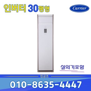 캐리어 인버터 스탠드 냉난방기 냉온풍기 DMQE301EAWWSD 업소용 30평 기본별도