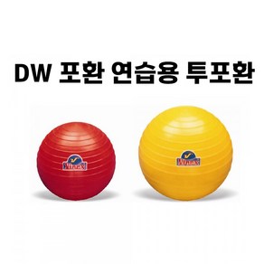 DW 포환 연습용 투포환 7가지 중량 육상용품 학교체육, 1kg, 1개