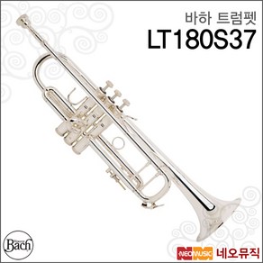 [바하트럼펫] Bach Tumpet LT180S37 Stadivaius Bb 실버/트럼팻/바흐/전문가용 [한국정품], 바하 LT180S37, 1개, 단품