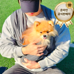 [불만족 시 100% 환불] 바이홈 강아지 고양이 캥거루 가방 포대기