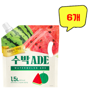 웰그린 수박에이드 대용량 파우치음료, 6개, 1.5L